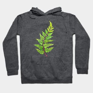 eared lady fern watercolor Hoodie